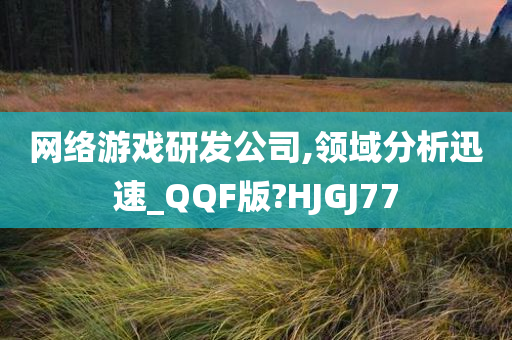 网络游戏研发公司,领域分析迅速_QQF版?HJGJ77