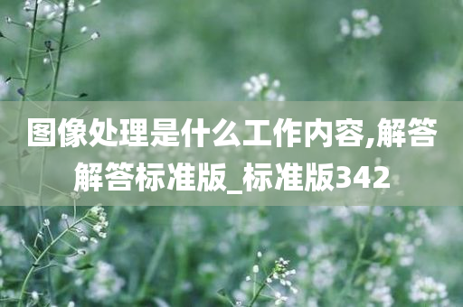 图像处理是什么工作内容,解答解答标准版_标准版342