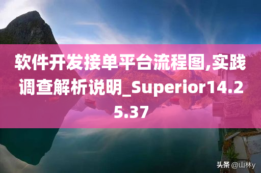 软件开发接单平台流程图,实践调查解析说明_Superior14.25.37