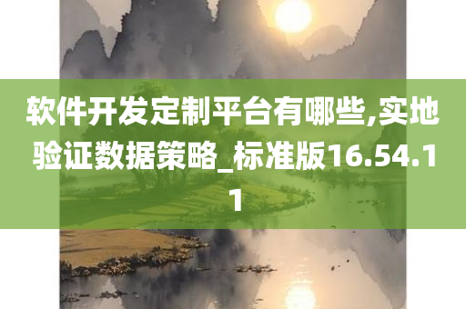 软件开发定制平台有哪些,实地验证数据策略_标准版16.54.11