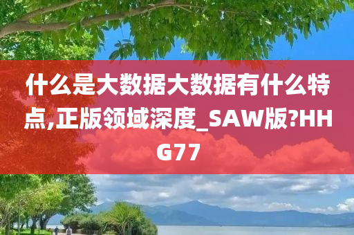 什么是大数据大数据有什么特点,正版领域深度_SAW版?HHG77