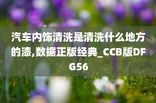 汽车内饰清洗是清洗什么地方的漆,数据正版经典_CCB版DFG56