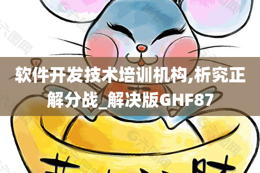 软件开发技术培训机构,析究正解分战_解决版GHF87