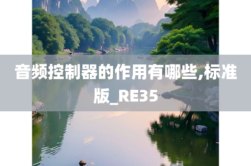 音频控制器的作用有哪些,标准版_RE35