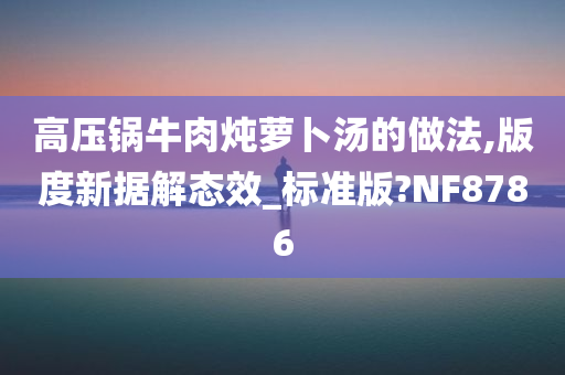 高压锅牛肉炖萝卜汤的做法,版度新据解态效_标准版?NF8786