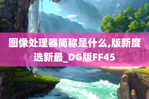 图像处理器简称是什么,版新度选新最_DG版FF45