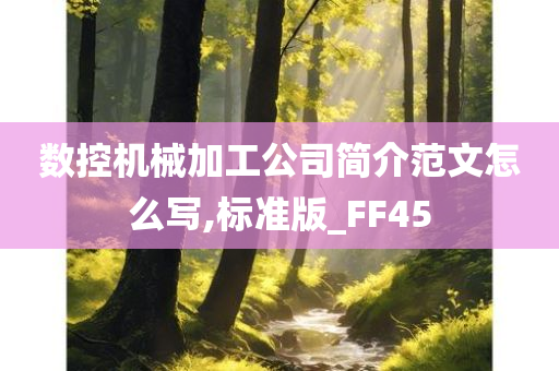 数控机械加工公司简介范文怎么写,标准版_FF45