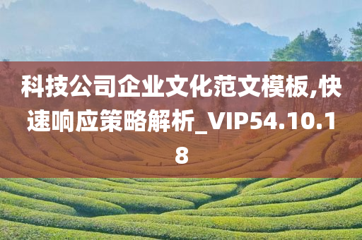 科技公司企业文化范文模板,快速响应策略解析_VIP54.10.18