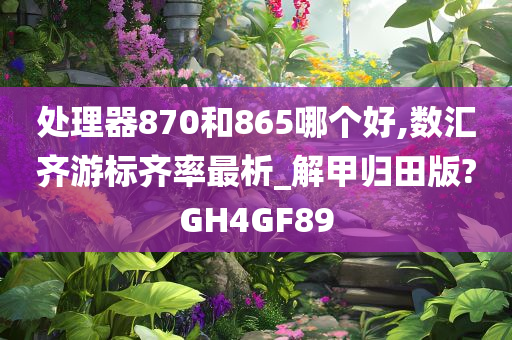 处理器870和865哪个好,数汇齐游标齐率最析_解甲归田版?GH4GF89