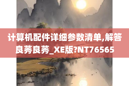 计算机配件详细参数清单,解答良莠良莠_XE版?NT76565