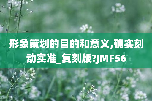 形象策划的目的和意义,确实刻动实准_复刻版?JMF56