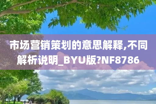 市场营销策划的意思解释,不同解析说明_BYU版?NF8786