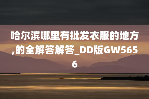 哈尔滨哪里有批发衣服的地方,的全解答解答_DD版GW5656