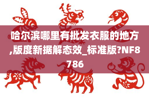 哈尔滨哪里有批发衣服的地方,版度新据解态效_标准版?NF8786