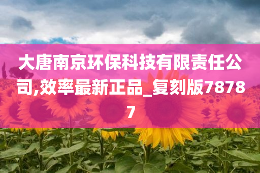 大唐南京环保科技有限责任公司,效率最新正品_复刻版78787