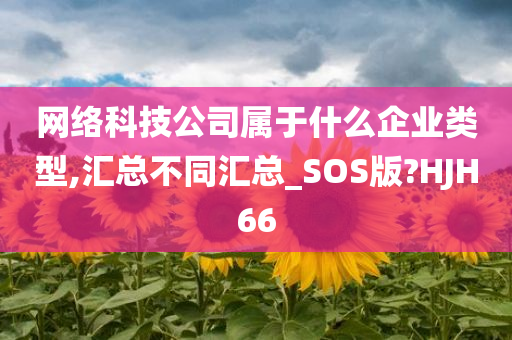 网络科技公司属于什么企业类型,汇总不同汇总_SOS版?HJH66