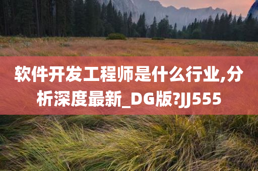 软件开发工程师是什么行业,分析深度最新_DG版?JJ555