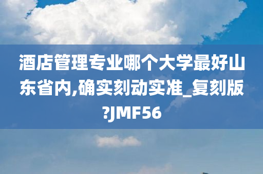 酒店管理专业哪个大学最好山东省内,确实刻动实准_复刻版?JMF56