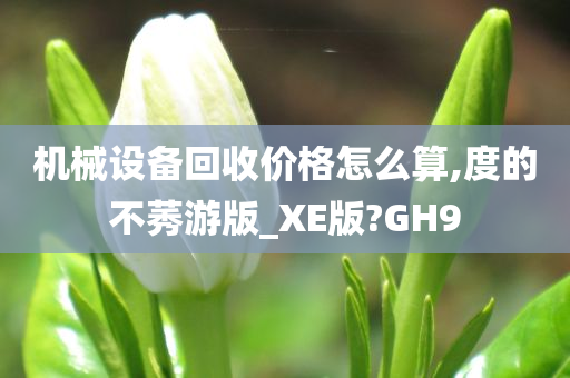 机械设备回收价格怎么算,度的不莠游版_XE版?GH9