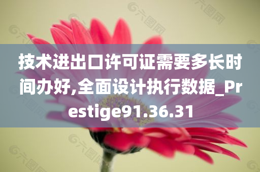 技术进出口许可证需要多长时间办好,全面设计执行数据_Prestige91.36.31