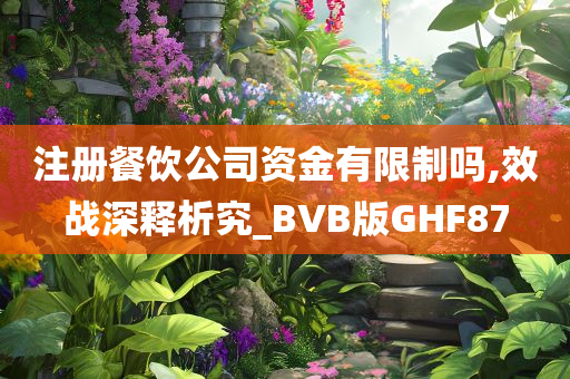 注册餐饮公司资金有限制吗,效战深释析究_BVB版GHF87