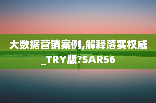 大数据营销案例,解释落实权威_TRY版?SAR56