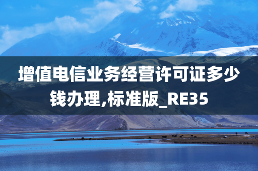 增值电信业务经营许可证多少钱办理,标准版_RE35