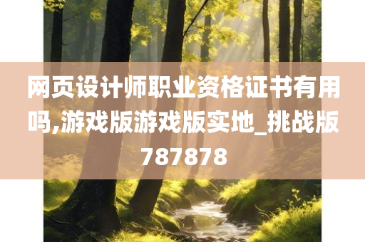 网页设计师职业资格证书有用吗,游戏版游戏版实地_挑战版787878