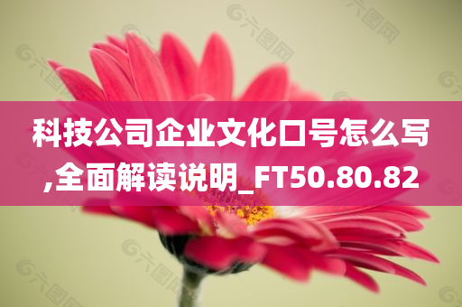 科技公司企业文化口号怎么写,全面解读说明_FT50.80.82