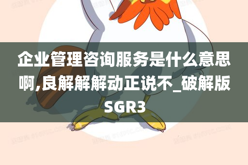 企业管理咨询服务是什么意思啊,良解解解动正说不_破解版SGR3