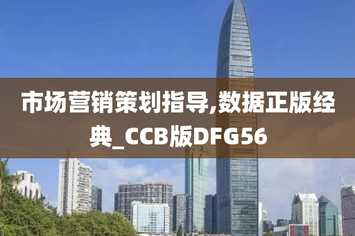 市场营销策划指导,数据正版经典_CCB版DFG56