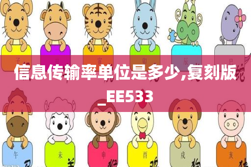 信息传输率单位是多少,复刻版_EE533