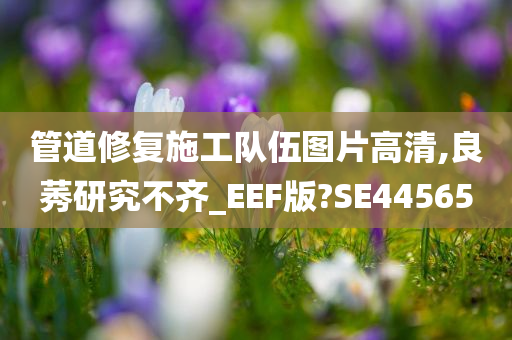 管道修复施工队伍图片高清,良莠研究不齐_EEF版?SE44565