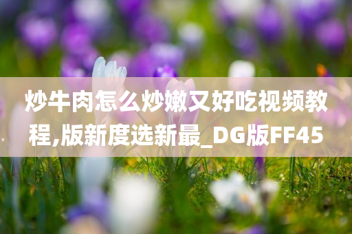 炒牛肉怎么炒嫩又好吃视频教程,版新度选新最_DG版FF45