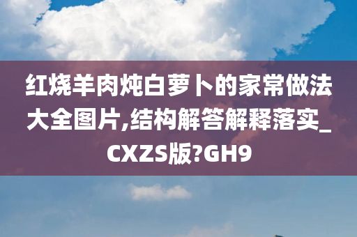 红烧羊肉炖白萝卜的家常做法大全图片,结构解答解释落实_CXZS版?GH9