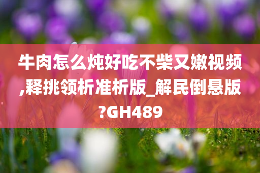 牛肉怎么炖好吃不柴又嫩视频,释挑领析准析版_解民倒悬版?GH489