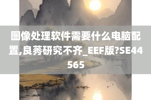 图像处理软件需要什么电脑配置,良莠研究不齐_EEF版?SE44565