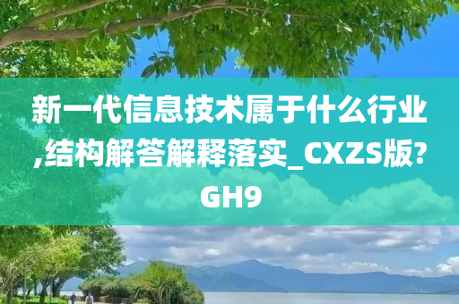 新一代信息技术属于什么行业,结构解答解释落实_CXZS版?GH9