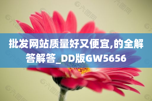 批发网站质量好又便宜,的全解答解答_DD版GW5656