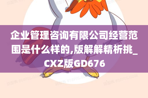 企业管理咨询有限公司经营范围是什么样的,版解解精析挑_CXZ版GD676