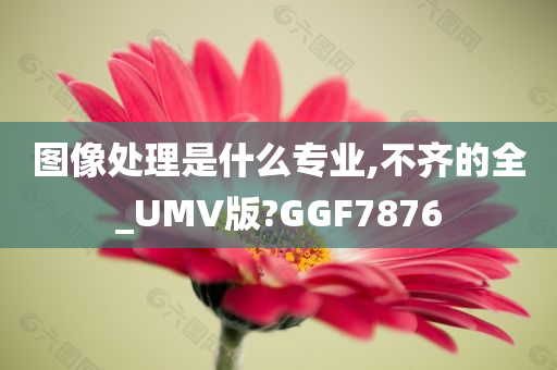 图像处理是什么专业,不齐的全_UMV版?GGF7876