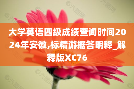 大学英语四级成绩查询时间2024年安徽,标精游据答明释_解释版XC76