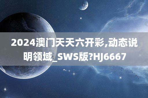 2024澳门天天六开彩,动态说明领域_SWS版?HJ6667