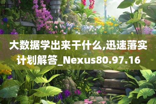 大数据学出来干什么,迅速落实计划解答_Nexus80.97.16