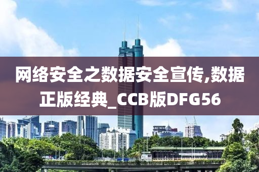 网络安全之数据安全宣传,数据正版经典_CCB版DFG56