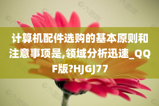 计算机配件选购的基本原则和注意事项是,领域分析迅速_QQF版?HJGJ77