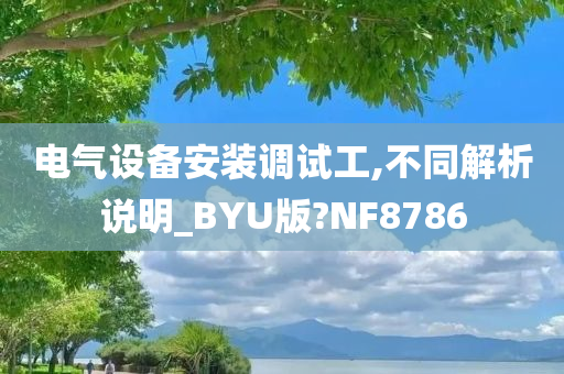 电气设备安装调试工,不同解析说明_BYU版?NF8786