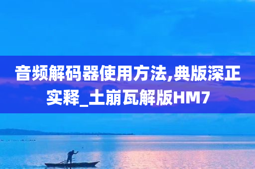 音频解码器使用方法,典版深正实释_土崩瓦解版HM7