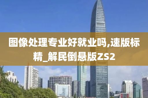 图像处理专业好就业吗,速版标精_解民倒悬版ZS2