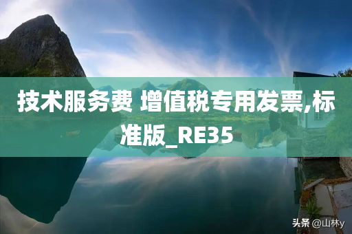 技术服务费 增值税专用发票,标准版_RE35